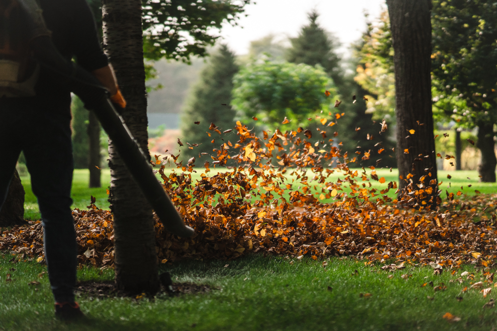 Yard cleaning